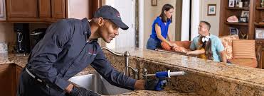 Best Termite Inspection and Treatment  in Cashmere, WA